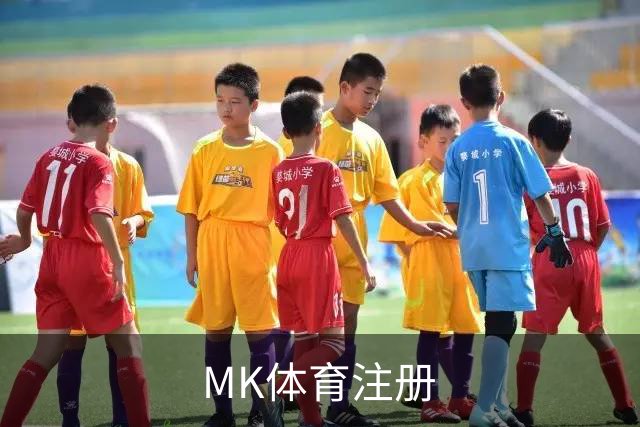 MK体育注册公司形象图